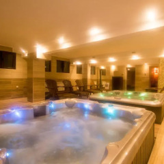 Park Hotel Asenevtsi & SPA Велико Тырново бассейн