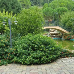 Отель Il Drago Azienda Turistica Rurale Италия, Айдоне - отзывы, цены и фото номеров - забронировать отель Il Drago Azienda Turistica Rurale онлайн фото 2