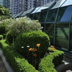 Отель Rosedale On Robson Suite Hotel Канада, Ванкувер - отзывы, цены и фото номеров - забронировать отель Rosedale On Robson Suite Hotel онлайн фото 3