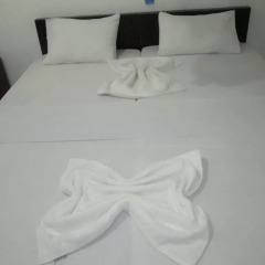 Отель Travel Lodge Lake View Tourist Resort комната для гостей фото 4