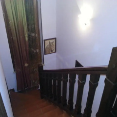 Отель Alexander Bed and Breakfast комната для гостей фото 3
