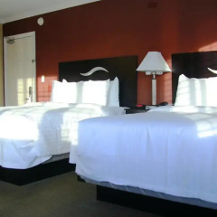 Отель Comfort Inn Near the Sunset Strip удобства в номере