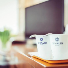 Hotel Vivaldi 4* Апартаменты с различными типами кроватей фото 6