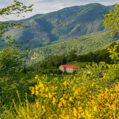 Отель Agriturismo Casa Passerini a Firenze 2* Апартаменты фото 18