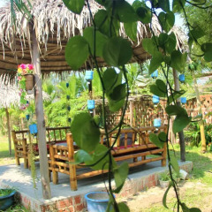 Отель Dragon Sea Homestay Хойан фото 11