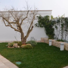 Отель Dimore nei Trulli Альберобелло фото 3