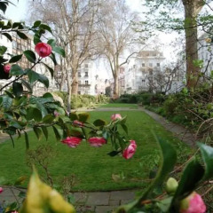 Отель Knightsbridge Apartments by London Lifestyle Великобритания, Лондон - отзывы, цены и фото номеров - забронировать отель Knightsbridge Apartments by London Lifestyle онлайн