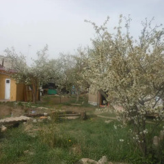 Отель B&B at Bailanysh Кыргызстан, Каракол - отзывы, цены и фото номеров - забронировать отель B&B at Bailanysh онлайн фото 2