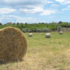Отель SoleLuna Сиракуза фото 3