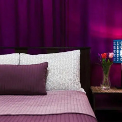 Отель Culturnaya Stolica Guest House Санкт-Петербург помещение для мероприятий