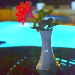 Ipek Hotel Camyuva гостиничный бар