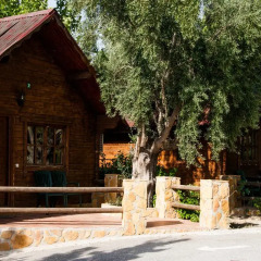 Отель Fuente del Lobo Bungalows - Adults Only 3* Улучшенное бунгало с различными типами кроватей фото 7