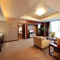 Vision Hotel 4* Люкс повышенной комфортности с различными типами кроватей фото 2