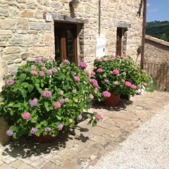 Отель B&B Mulino Barchio Италия, Монтекассино - отзывы, цены и фото номеров - забронировать отель B&B Mulino Barchio онлайн фото 9