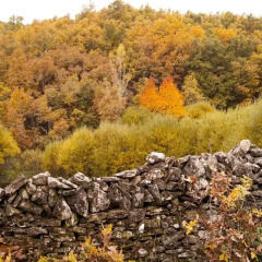 Отель Rural Las Campares Испания, Каррисо - отзывы, цены и фото номеров - забронировать отель Rural Las Campares онлайн приотельная территория фото 2