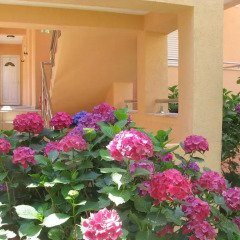 Garni Hotel Koral интерьер отеля