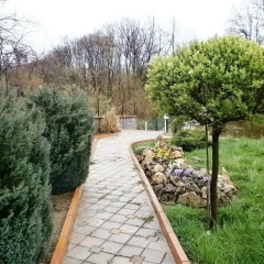 Отель Eco House Gorski Kut Болгария, Аврен - отзывы, цены и фото номеров - забронировать отель Eco House Gorski Kut онлайн фото 8