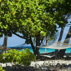 Отель Fafarua Ile Privée Private Island Французская Полинезия, Тикехау - отзывы, цены и фото номеров - забронировать отель Fafarua Ile Privée Private Island онлайн фото 5