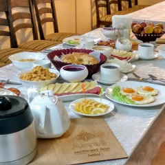 Отель Guest house Altay Кыргызстан, Каракол - отзывы, цены и фото номеров - забронировать отель Guest house Altay онлайн питание фото 3