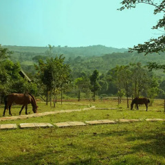 Отель Nature Lodge с домашними животными