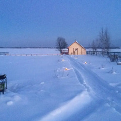 Гостиница Cottages Shemelinka бассейн