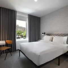 Hotel Hive Стандартный номер с различными типами кроватей