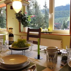 Апартаменты Guest House & Apartment Nabucco with Mountain View Закопане питание