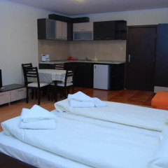 Апартаменты Elit Pamporovo Apartments Студия с различными типами кроватей фото 7
