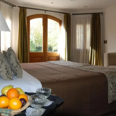 Suter Petit Hotel 4* Люкс Премиум фото 7