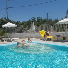 Отель Dolphin Apartments Греция, Родос - отзывы, цены и фото номеров - забронировать отель Dolphin Apartments онлайн бассейн