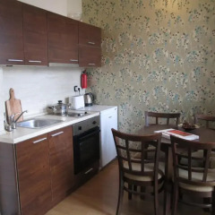 Апартаменты Fortuna Complex Alexander Services Apartments в номере