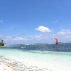 Отель Pacific Treelodge Resort Федеративные Штаты Микронезии, Косраэ - отзывы, цены и фото номеров - забронировать отель Pacific Treelodge Resort онлайн пляж фото 2