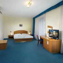 Hotel Ruze удобства в номере фото 2