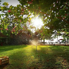 Отель Rajapruek Samui Resort Таиланд, Самуи - отзывы, цены и фото номеров - забронировать отель Rajapruek Samui Resort онлайн
