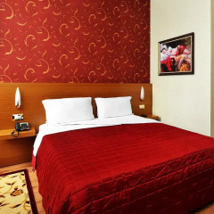 Hotel Austria 4* Стандартный номер с различными типами кроватей фото 2