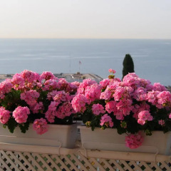 Отель Appartement Baie des Anges пляж фото 2