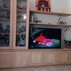Отель Il Giardino Пьянтедо развлечения