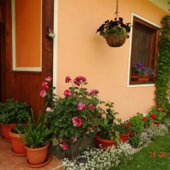 Отель Bobi Guest House Болгария, Копривштица - отзывы, цены и фото номеров - забронировать отель Bobi Guest House онлайн фото 20