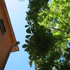 Castanea Old Town Hostel фото 12
