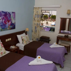 Philoxenia Hotel Apartments 3* Стандартный номер с двуспальной кроватью фото 3