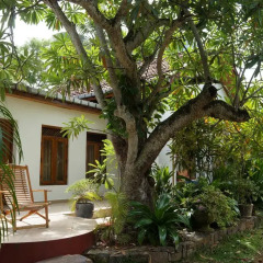 Отель The Tandem Guesthouse Шри-Ланка, Хиккадува - отзывы, цены и фото номеров - забронировать отель The Tandem Guesthouse онлайн фото 11