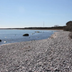 Отель Knaus Camping- und Ferienhauspark Rügen Германия, Гингст - отзывы, цены и фото номеров - забронировать отель Knaus Camping- und Ferienhauspark Rügen онлайн пляж