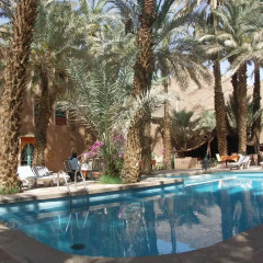 Отель Fibule Du Draa Kasbah Dhôtes Марокко, Загора - отзывы, цены и фото номеров - забронировать отель Fibule Du Draa Kasbah Dhôtes онлайн бассейн
