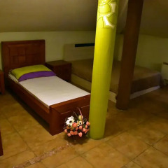 Vival Hotel детские мероприятия фото 2