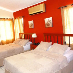 Отель The Green Frog Inn B&B комната для гостей фото 3