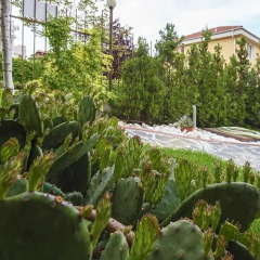 Jbh Hotel Свети Влас