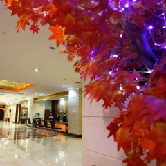 Gehao Holiday Hotel интерьер отеля фото 2
