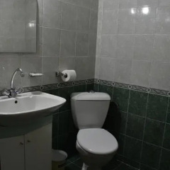 Family Hotel Bashtina Kashta 3* Люкс с различными типами кроватей фото 9