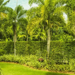 Отель Lake View Baan Bua Villas by Railand спортивное сооружение