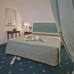 Napoleon Hotel 4* Улучшенный номер с различными типами кроватей